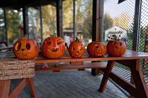 29. října v sobotu proběhne Halloweenská párty v Soosu.