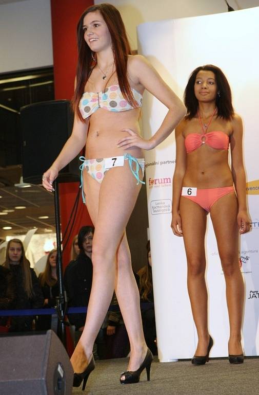 Krajský casting na Českou Miss 2014 v Ústí nad Labem.