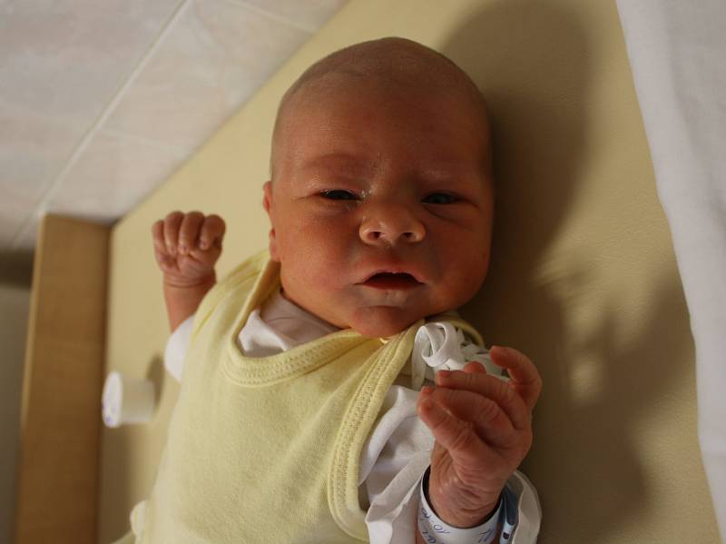 Adam Dirigl se narodil Petře Diriglové z Děčína 10. října v 11.27 hod. v ústecké porodnici. Měřil 53 cm a vážil 3,89 kg.