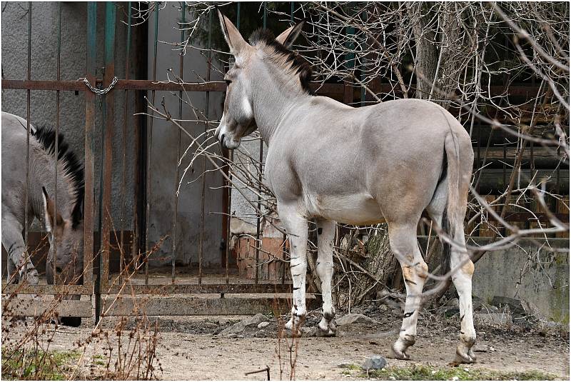 Zoo v Ústí nad Labem, úterý 15. března.