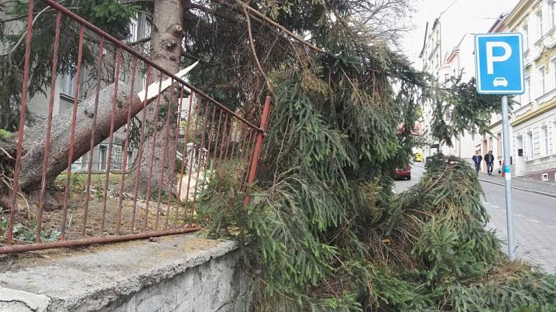 Strom spadl také v areálu sexuologického oddělení Masarykovy nemocnice.