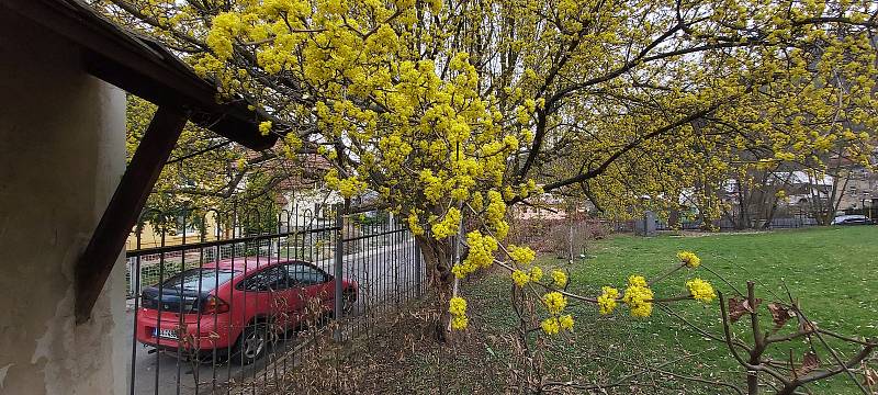 Prohlídka zavřeného zámku ve Velkém Březně. Všechno čeká na sezónu a rozhodnutí vlády o dalším postupu proti pandemii covid-19.