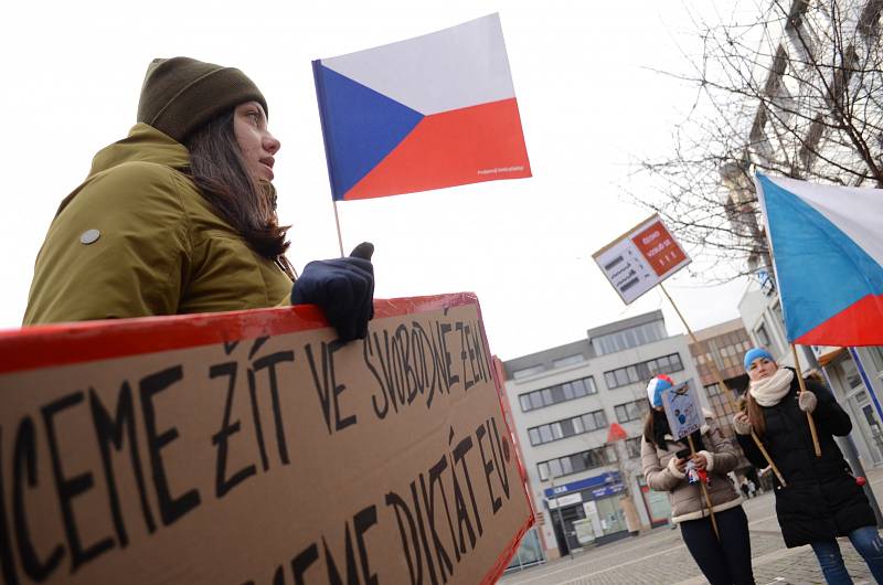 Demonstrace proti vládním protiepidemickým opatřením v centru Ústí nad Labem