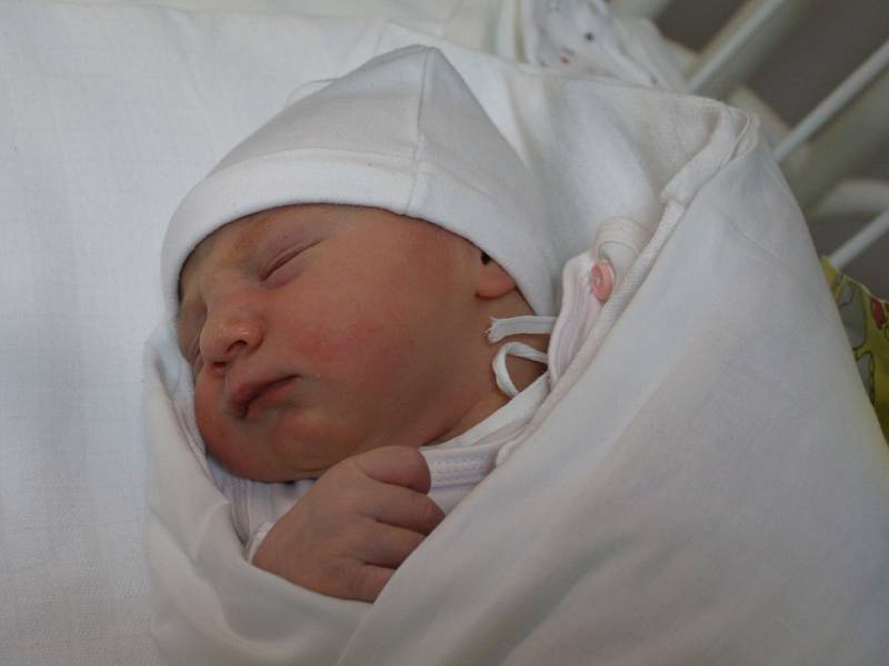 Beáta Rafaela Ševčíková se narodila v ústecké porodnici 28. 2. 2017 (10.48) Cristině  Rafaele Ševčíkové. Měřila 51 cm, vážila 3,25 kg.