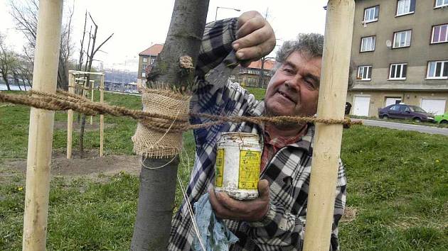 Jaroslav Vodrážka po přesazení třicítky lip