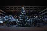 Vánoční stromy vyrostly na mnoha místech Ústecka. Tento je na v atriu magistrátu Ústí nad Labem.