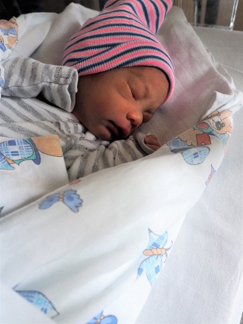 Zdravý chlapec pacientky ECMO narozený v děčínské porodnici.