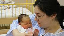 Dominika Cirklová se narodila  v ústecké porodnici 31.1.2017 (7.41) Zdeňce Cirklové.  Měřila 50 cm, vážila 3,77 kg.