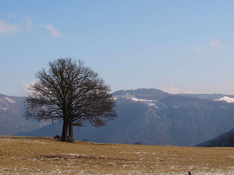 Vyrazte na malý výlet, který vás odmění krásnou vyhlídkou na město nad Labem. 