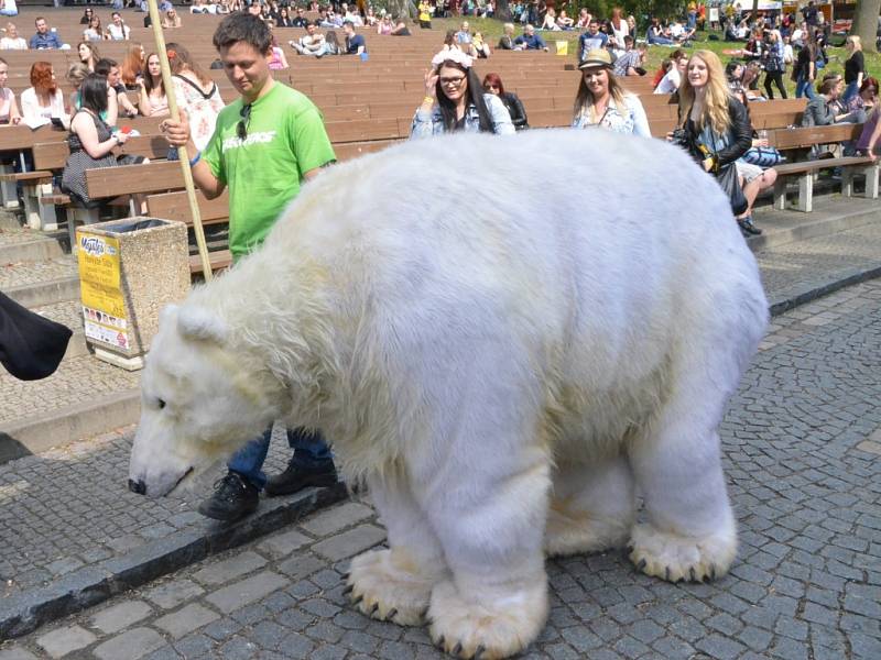 Ústecký Majáles 2015 v letním kině.