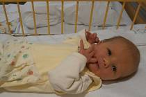 Anežka Škoulová se narodila v ústecké porodnici 5.1.2017 (17.26) Monice Škoulové.  Měřila 49 cm, vážila 3,20 kg.
