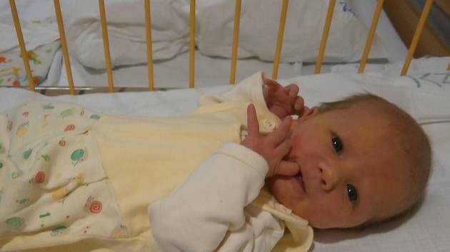 Anežka Škoulová se narodila v ústecké porodnici 5.1.2017 (17.26) Monice Škoulové.  Měřila 49 cm, vážila 3,20 kg.