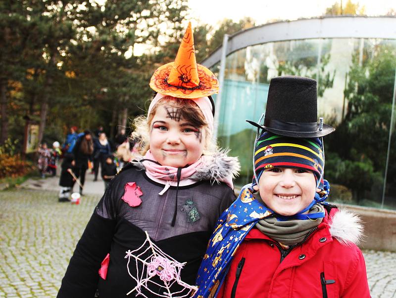 Ústecká zoologická zahrada byla strašidelná.