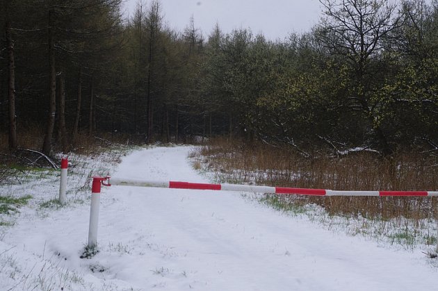 Na konci dubna napadl v Krušných horách sníh.