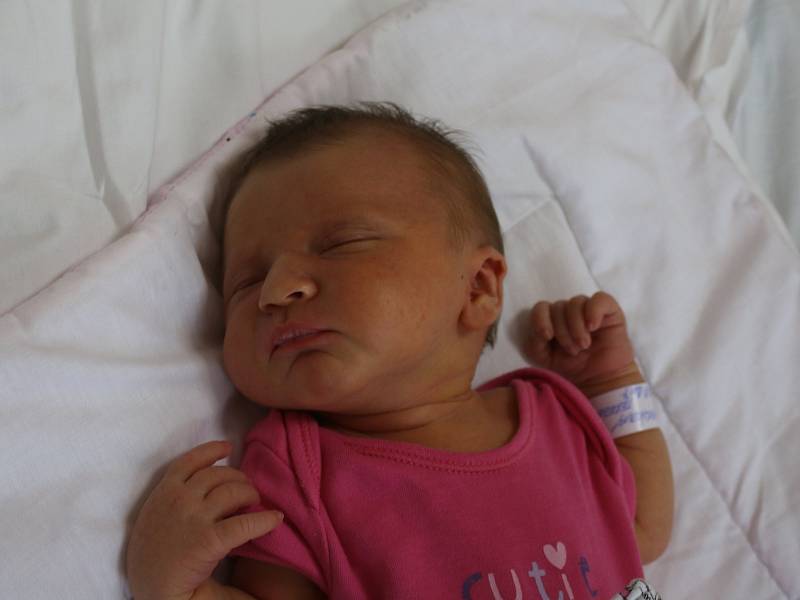 Tereza Havlíková se narodila Nikole Havlíkové z Ústí nad Labem 27. srpna v 23.11 hod. v ústecké porodnici. Měřila 48 cm a vážila 3,15 kg.