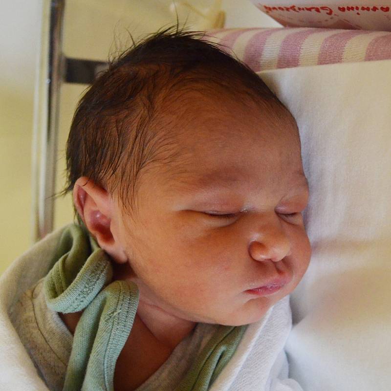 Jasmína Grundzová se narodila 16. ledna ve 4.03 hodin mamince Ireně Grundzové z Teplic. Měřila 50 cm a vážila 3,15 kg.