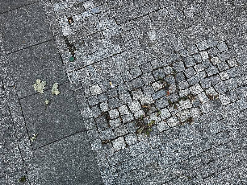 Pořádek v centru města záleží i na chování jeho obyvatel. Například jestli budou používat koše, nebo zda po prohýřené noci neodhodí obaly od svačiny do fontány a nedopalky na chodník.