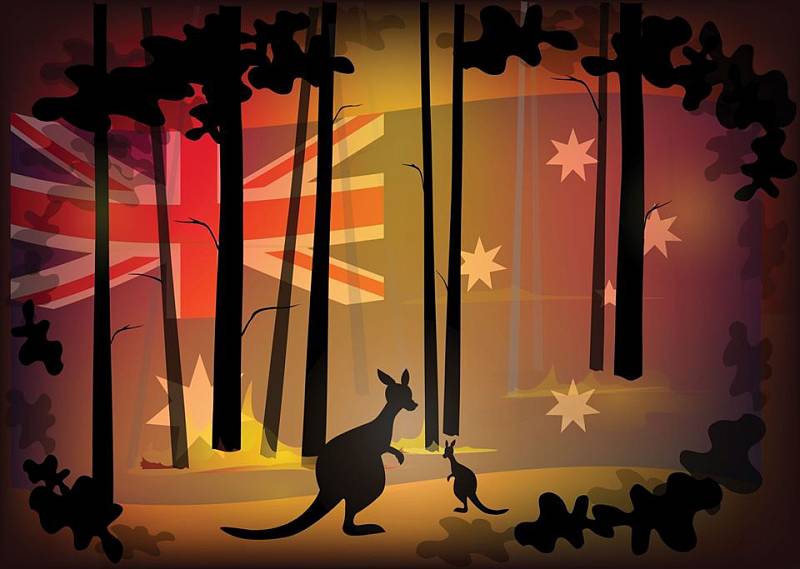 Benefice podpoří australská zvířata v nouzi