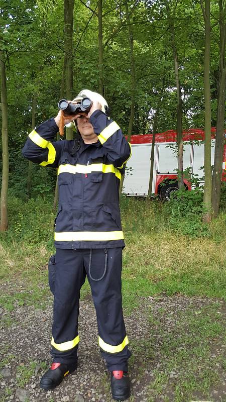 Profesionální hasiči z posádky Ústí-Všebořic zasahují na chlumeckém rybníku. Vytahují z hrdla mladé labutě vlasec některého z rybářů.