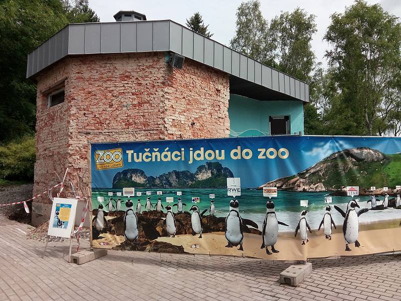 PRÁZDNINY V ZOO. První prázdninový víkend v zoo pokazil lijavec. Přesto neodradil všechny její milovníky a ti dorazili, aby se podívali na broukoviště, Ferdův kvíz i  zvířata. Foto: Deník/Janni Vorlíček