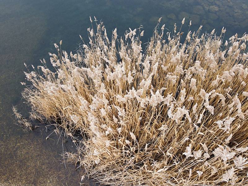 Jezero Milada v zimě