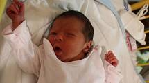 Victoria Vajnerová se narodila v ústecké porodnici 20.11.2016 (5.03) Kamile Vajnerové.  Měřila 45 cm, vážila 2,53 kg.