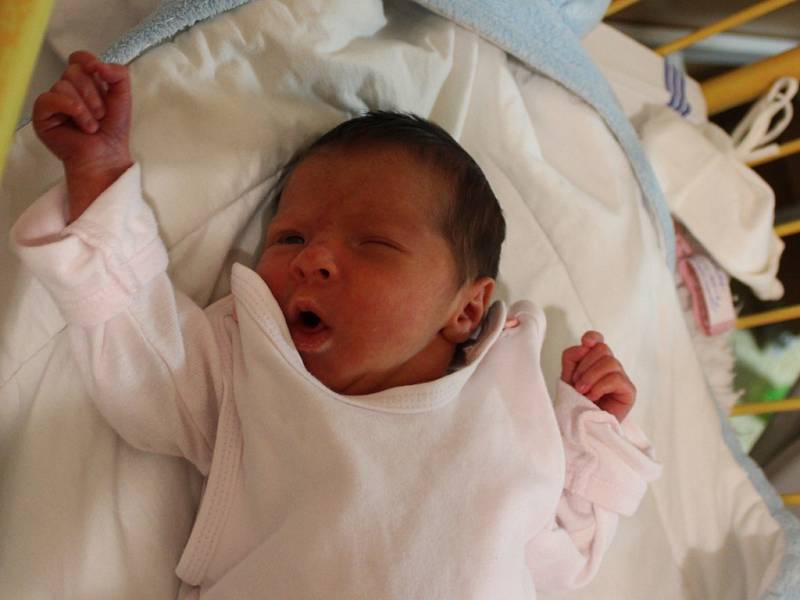 Victoria Vajnerová se narodila v ústecké porodnici 20.11.2016 (5.03) Kamile Vajnerové.  Měřila 45 cm, vážila 2,53 kg.