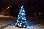 Vánoční strom v parku na Klíši v Ústí nad Labem