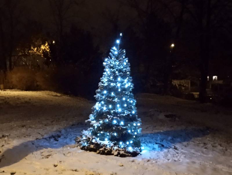 Vánoční strom v parku na Klíši v Ústí nad Labem