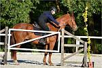 Working equitation na Bukově.