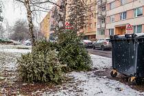 Po Třech králích se obyvatelé Ústí nad Labem začali zbavovat vánočních stromečků. Okolí popelnic jsou nyní například na Severní Terase obsypané nepotřebnými stromečky.