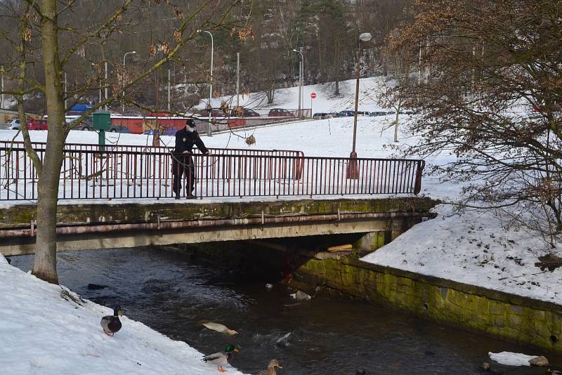 Práce ústeckých strážníků je náročná a velmi pestrá