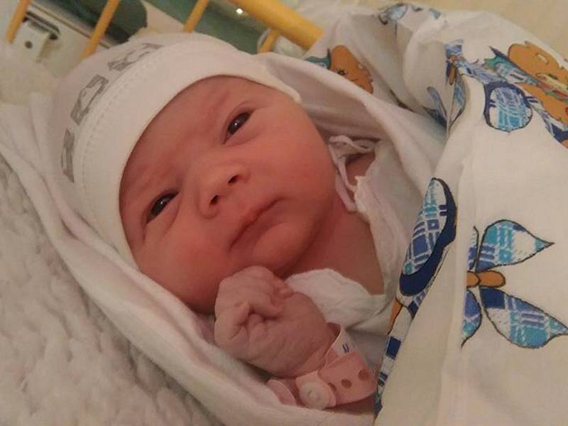 Dominika Toušová se narodila v ústecké porodnici 15.11.2016 (22.46) Dagmar Pekařové. Měřila 49 cm, vážila 3,62 kg.