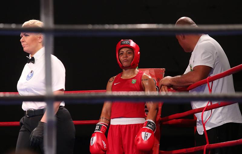 Velká cena Ústí nad Labem v boxu 2019.