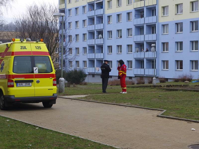 Téměř čtyři hodiny zaměstnávala hasiče, policisty i strážníky duševně nemocná žena v Mojžíři. Vyhrožovala, že skočí z šestého podlaží panelového domu.