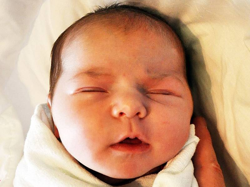 Michaela Dittrichová se narodila v ústecké porodnici 8.10.  (3.40) Michaele Dittrichové. Měřila 48 cm a vážila 3,55 kg.