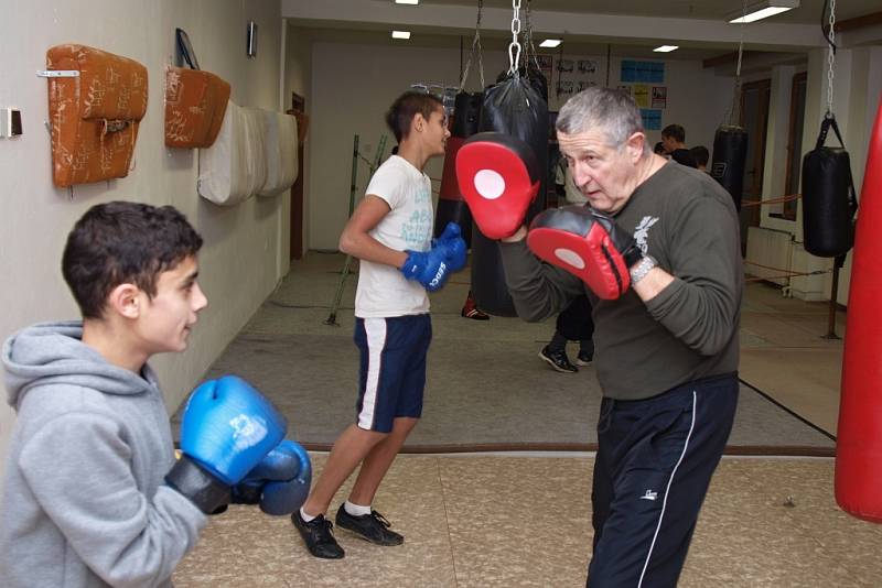 Boxerské legendy RH Ústí nad Labem založily v roce 2011 v Chlumci  vlastní oddíl a vyhledávají v okolí mladé talenty. 