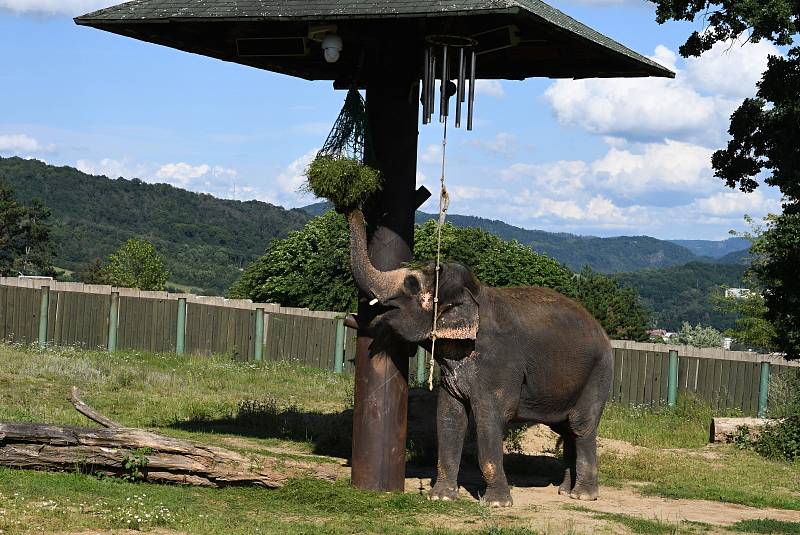 Zoo v Ústí nad Labem.