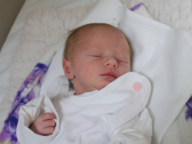 Eliška Urbanová se narodila  v ústecké porodnici 20.1.2017 (16.45) Blance Urbanové.  Měřil 43 cm, vážil 1,8 kg.