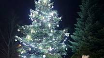 Vánoční strom u kostela sv. Havla v Chlumci