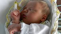 Alena Bělíková se narodila v ústecké porodnici 27. 5. 2014 (18.12) mamince Heleně Bělíkové z Ústí nad Labem. Měřila 52 cm, vážila 3,95 kg.