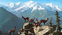 Čtyřtisícovka Gran Paradiso (4061 m) je nejvyšší vrchol Grajských Alp v italských regionech Valle d´Aosta a Piemonte.