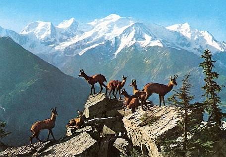 Čtyřtisícovka Gran Paradiso (4061 m) je nejvyšší vrchol Grajských Alp v italských regionech Valle d´Aosta a Piemonte.