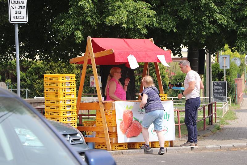 V ulicích Ústí nad Labem se začaly prodávat vyhlášené svádovské jahody.