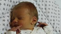 Ondřej Loužil se narodil Iloně Sigmundové z Ledvic 22. prosince v 19.08 hod. Měřil 50 cm, vážil 2,95 kg