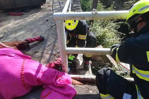 Ústečtí hasiči vysvobodili koně, nešťastně zapadl do škvíry v mostku na Bukově