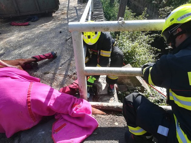 Ústečtí hasiči vysvobodili koně, nešťastně zapadl do škvíry v mostku na Bukově