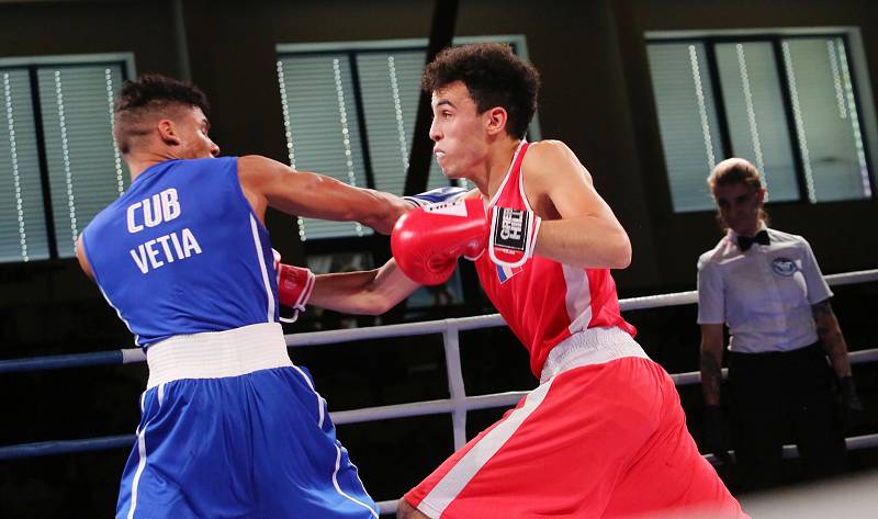 Velká cena Ústí nad Labem v boxu 2019.