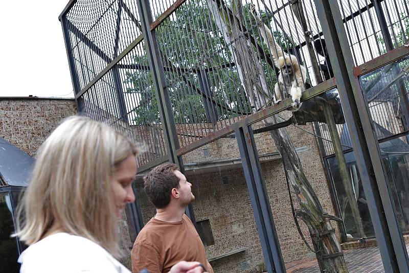 Ústecká zoologická zahrada uspořádala v sobotu 4. června dětský den.