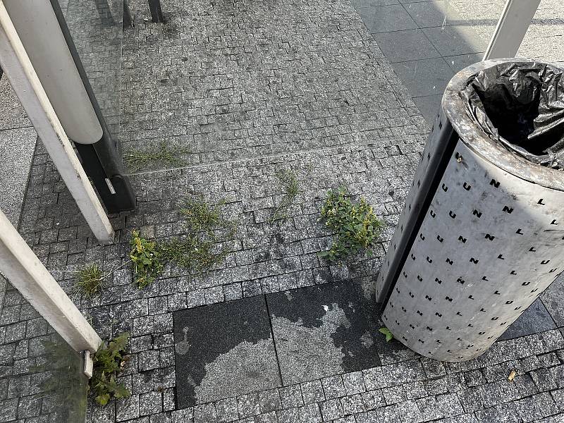 Pořádek v centru města záleží i na chování jeho obyvatel. Například jestli budou používat koše, nebo zda po prohýřené noci neodhodí obaly od svačiny do fontány a nedopalky na chodník.